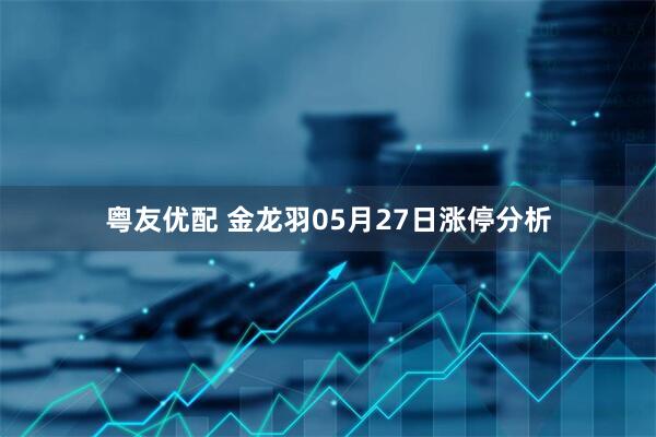 粤友优配 金龙羽05月27日涨停分析