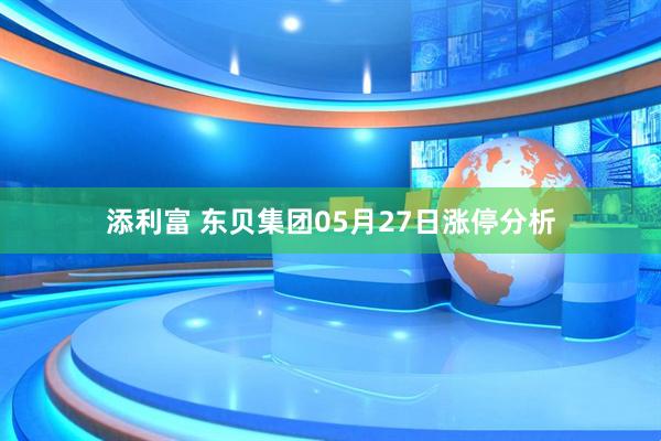 添利富 东贝集团05月27日涨停分析