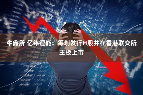 牛鑫所 亿纬锂能：筹划发行H股并在香港联交所主板上市