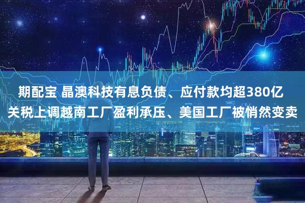 期配宝 晶澳科技有息负债、应付款均超380亿 关税上调越南工厂盈利承压、美国工厂被悄然变卖