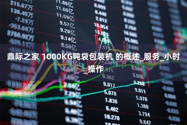 鼎际之家 1000KG吨袋包装机 的概述_服务_小时_操作