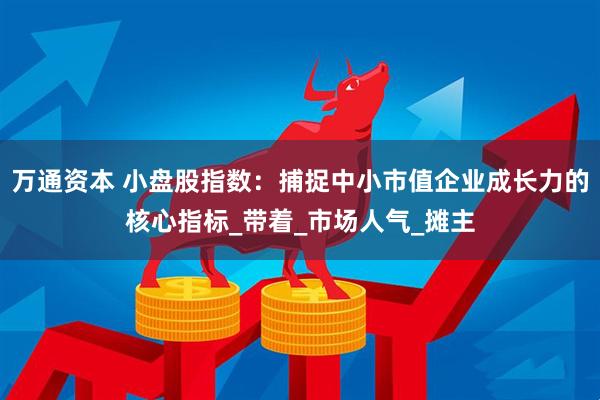 万通资本 小盘股指数：捕捉中小市值企业成长力的核心指标_带着_市场人气_摊主