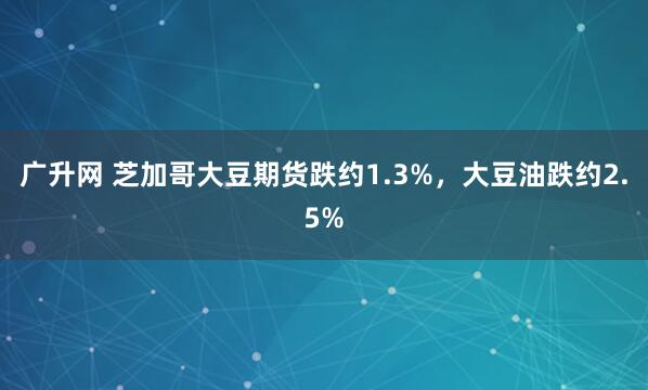 广升网 芝加哥大豆期货跌约1.3%，大豆油跌约2.5%