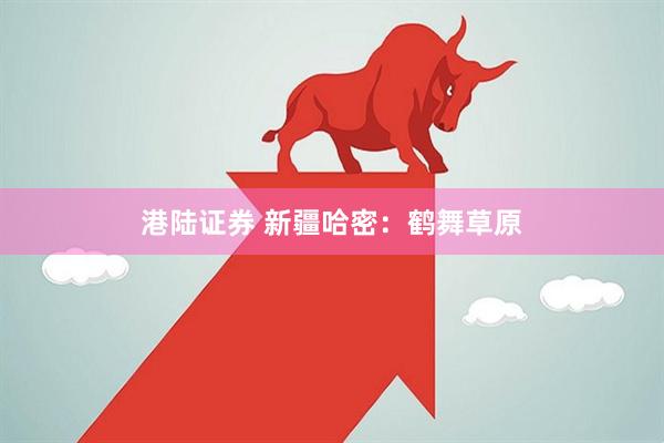 港陆证券 新疆哈密：鹤舞草原