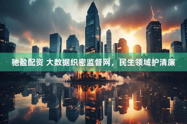 驰盈配资 大数据织密监督网，民生领域护清廉