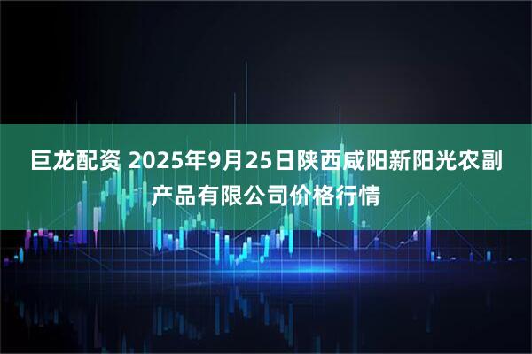 巨龙配资 2025年9月25日陕西咸阳新阳光农副产品有限公司价格行情