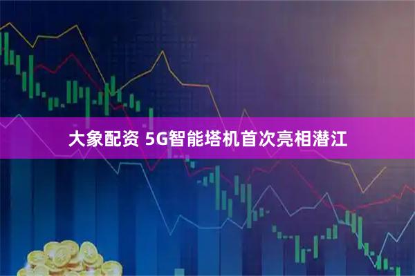大象配资 5G智能塔机首次亮相潜江