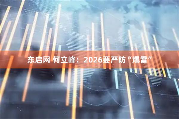 东启网 何立峰:2026要严防“爆雷”